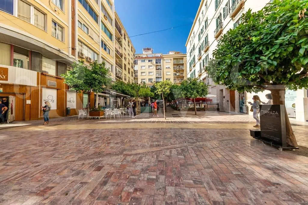 Penthouse With Terrace And Cathedral Views By Rems Apartment Malaga 0*,  Spain
